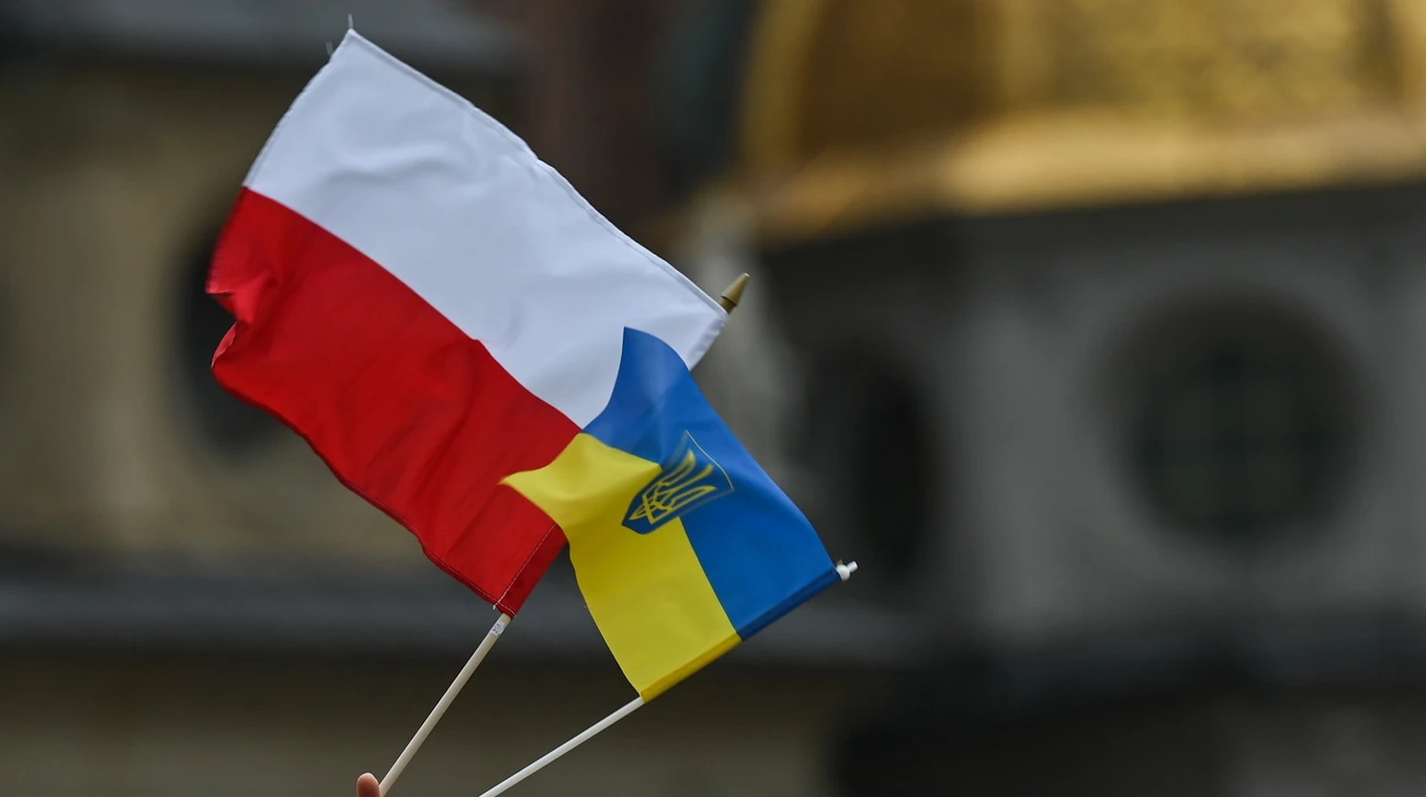 Від 43% до 98%: розподіл підтримки депортації українців за групами в опитуванні IBRiS